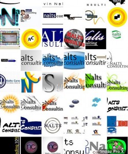 Nalts Consulting Logo finalists