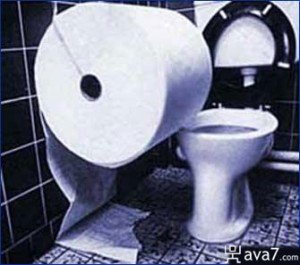 giant roll of toilet paper